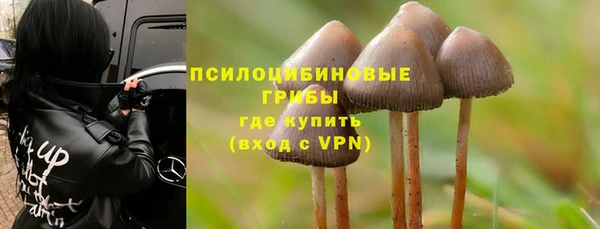 амф Алзамай