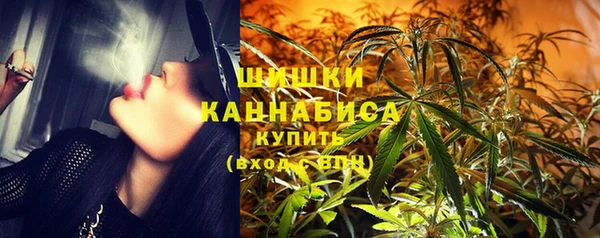spice Каменногорск