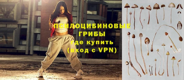 амф Алзамай