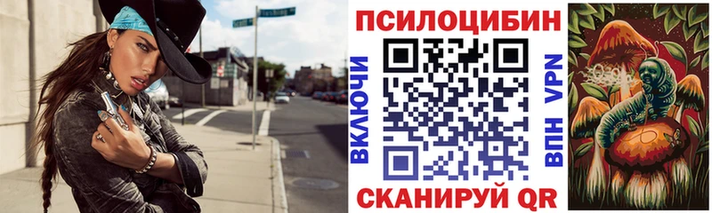 гидра рабочий сайт  Ардатов  Псилоцибиновые грибы мицелий  цена  